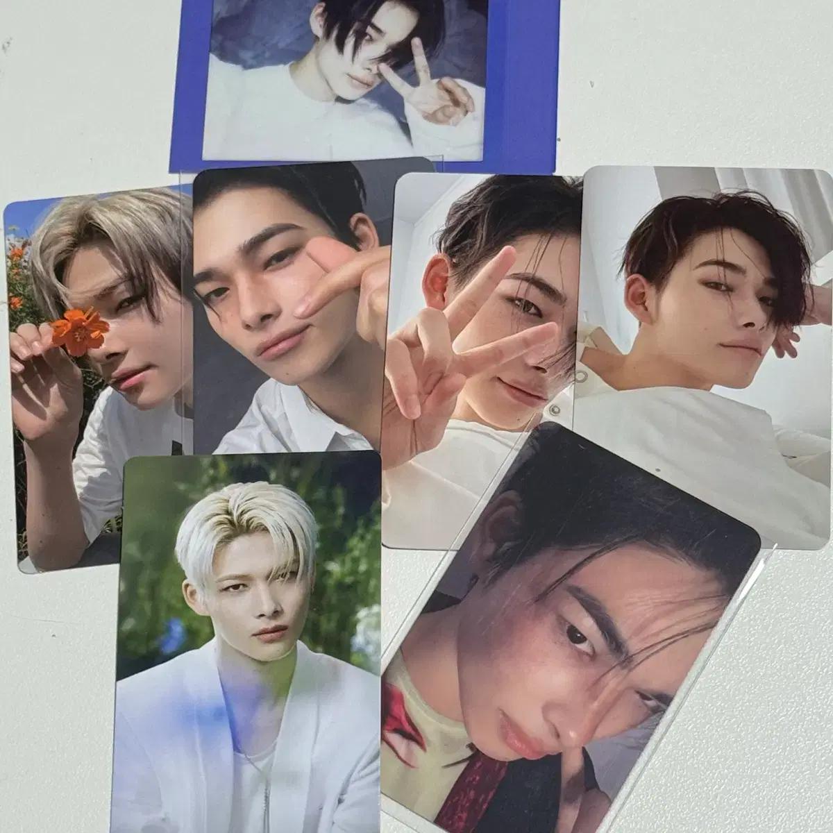 엔하이픈 니키 포카 양도!!