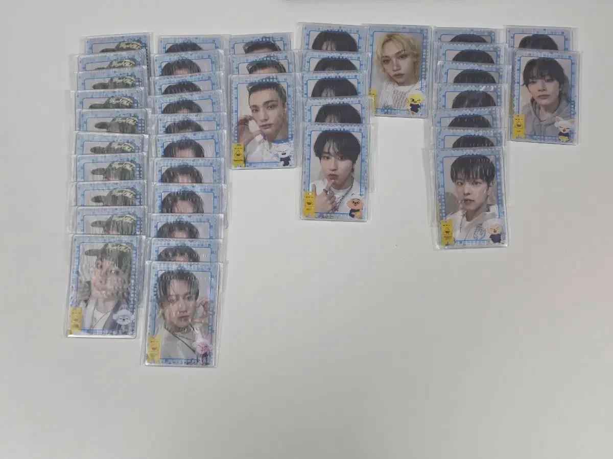 스키즈 일본 사우나쿠지 포카