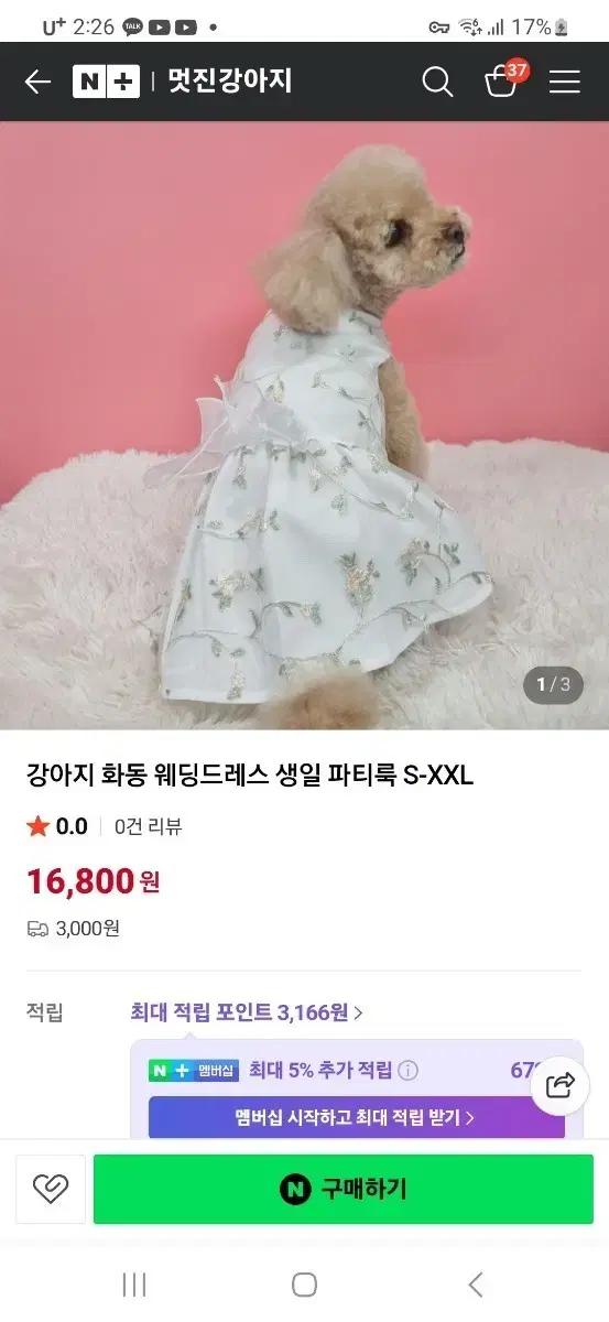강아지 옷 웨딩 드레스 원피스 M사이즈