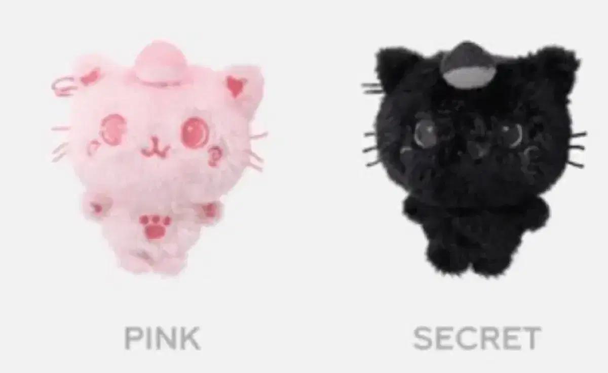 엔시티위시 위부부 시크릿 핑크 쿠리 일괄