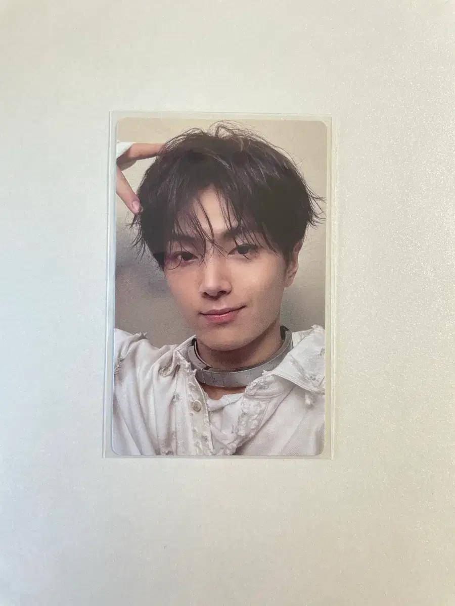 엔하이픈 제이 포카