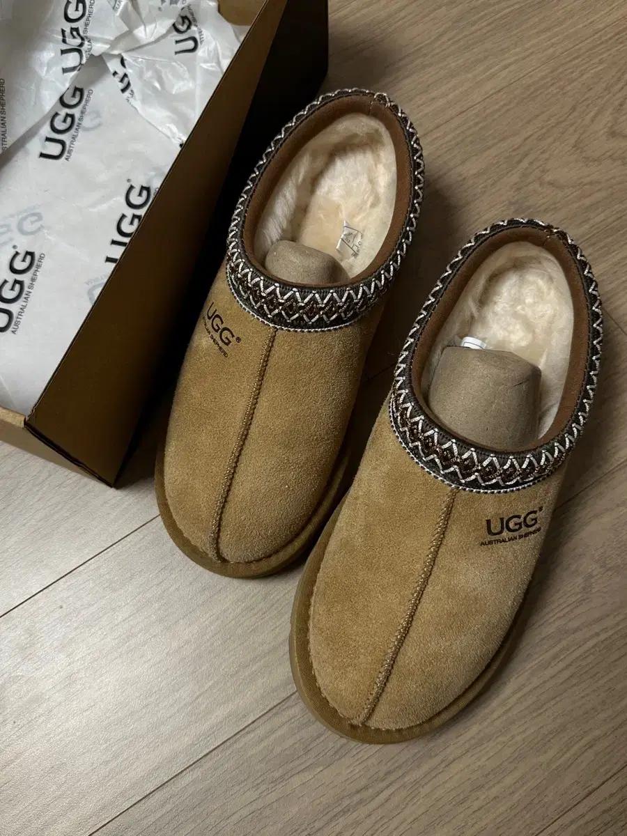 어그 타스만(호주)