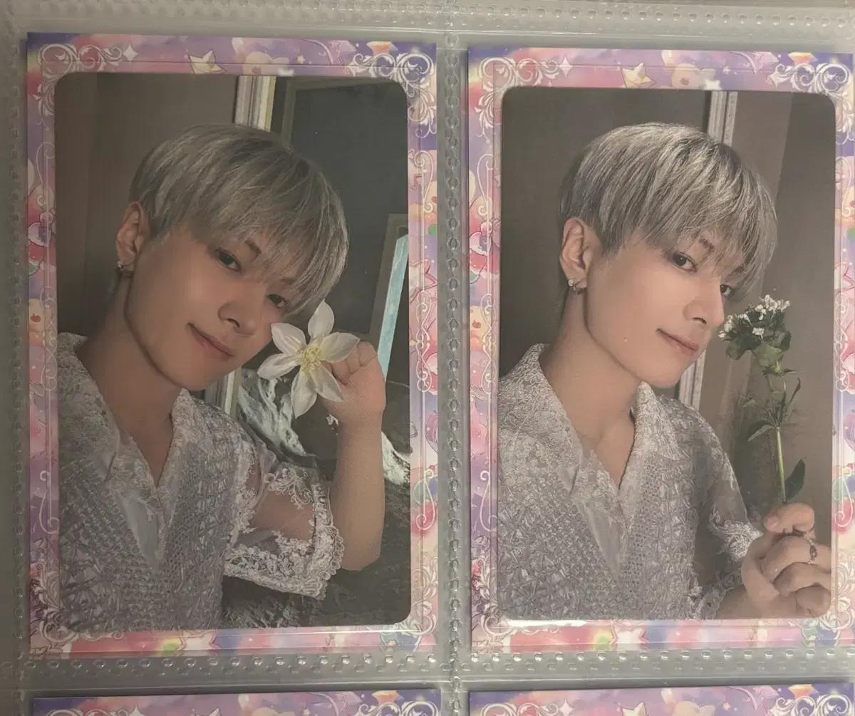 엔하이픈 제이 오렌지블러드 포카 양도판매