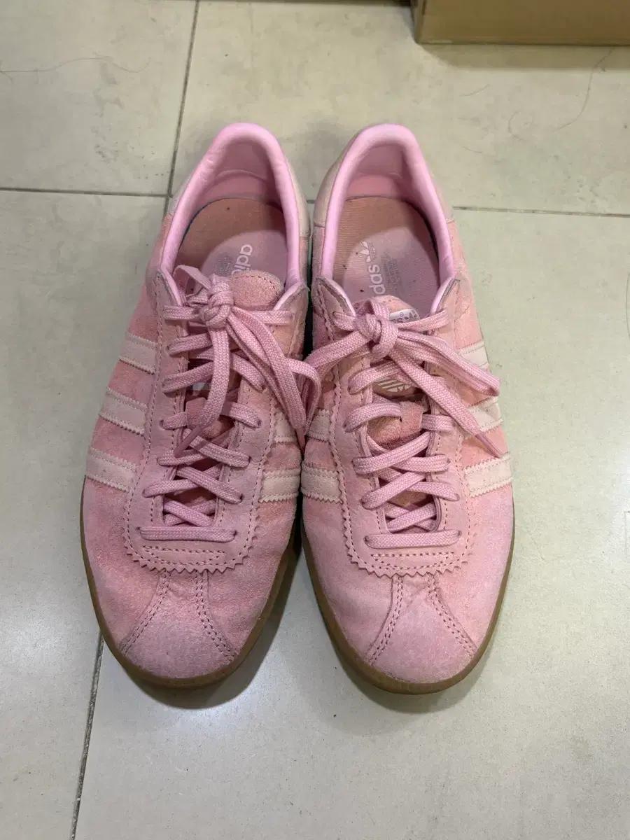 아디다스 버뮤다 글로우 핑크 240