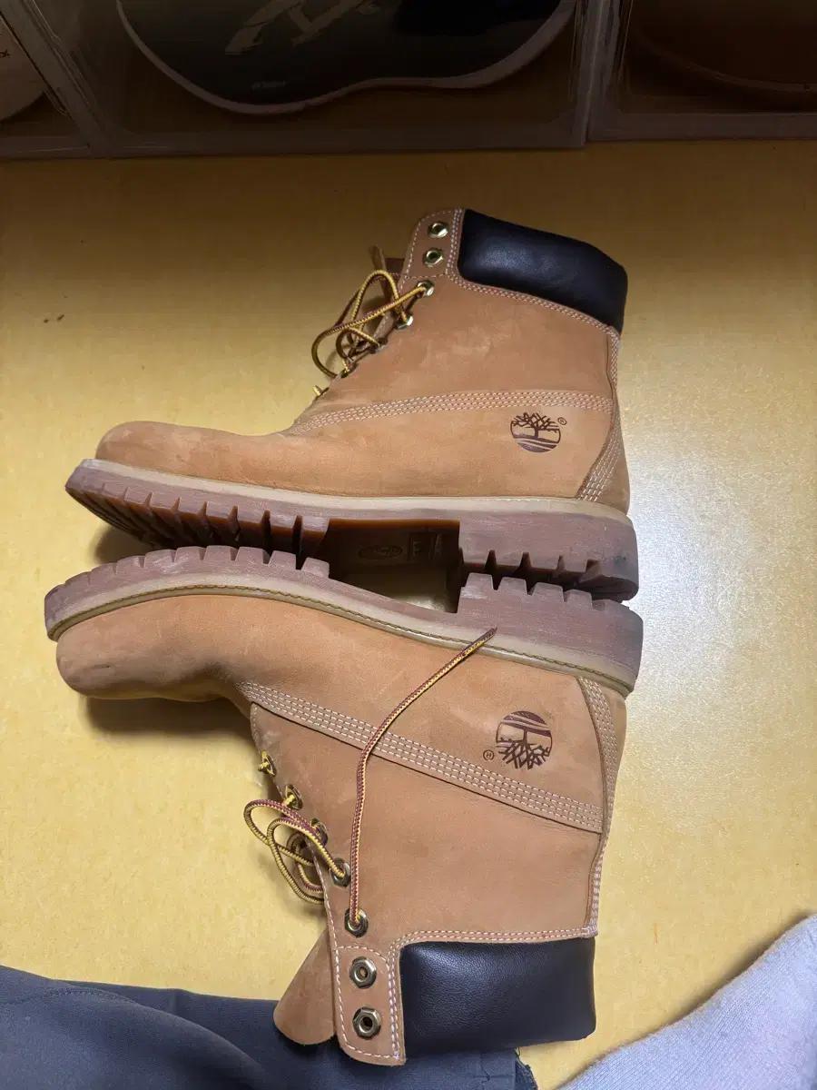 팀버랜드 6인치 265