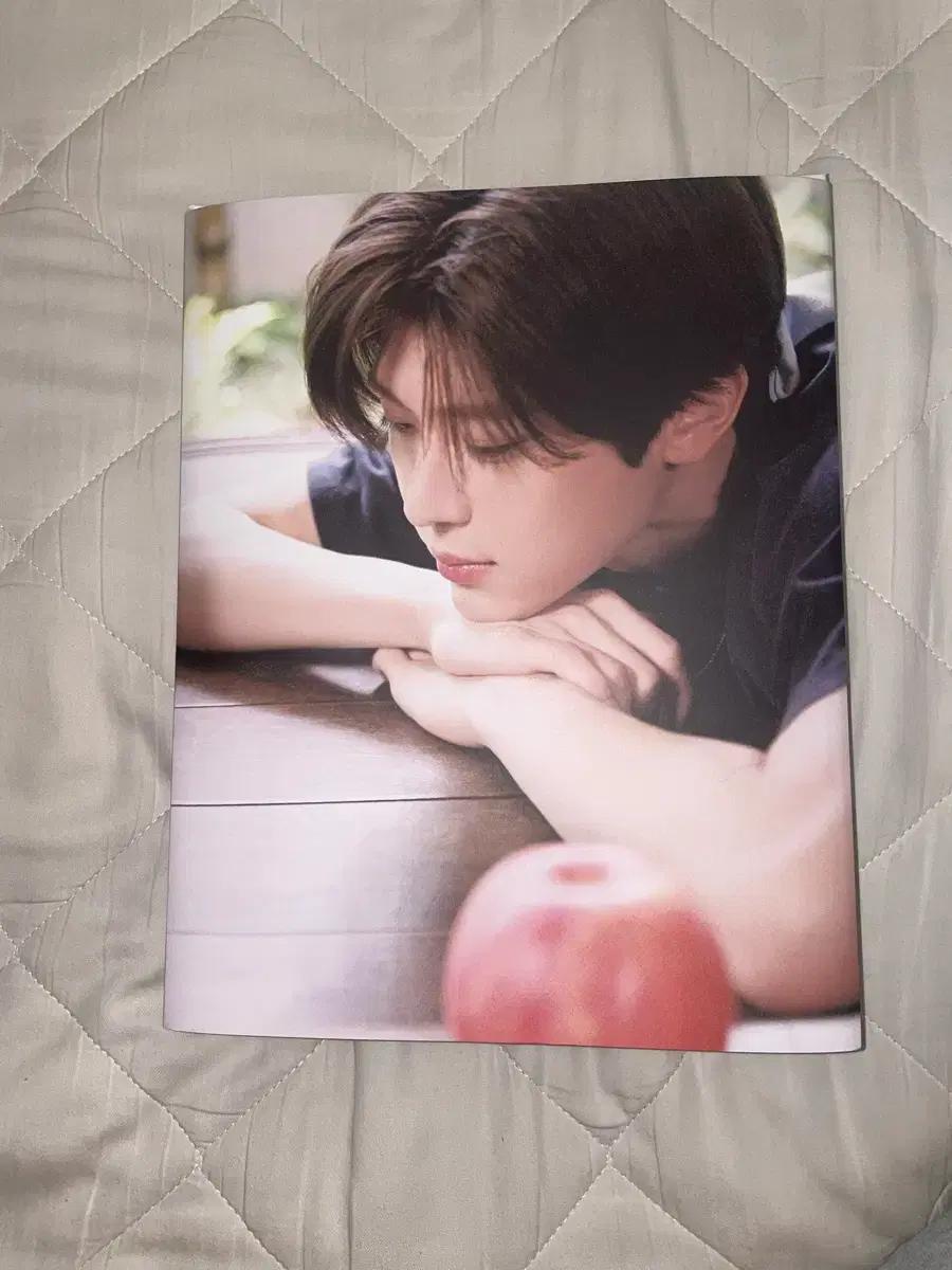 엔시티 위시 썸머 전시 포토북 시온 one summer wish