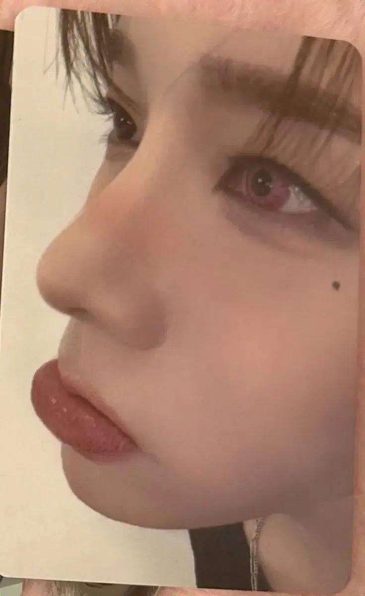 엑스러브 xlov 사진속 포카 구해용 ㅠㅅㅠ