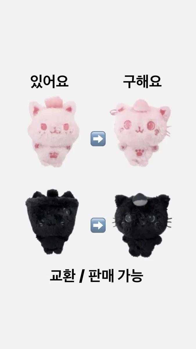 엔시티위시 컬러돌 교환 핑크시오닝 핑크쿠리 시크릿버블냥 시크릿쿠리