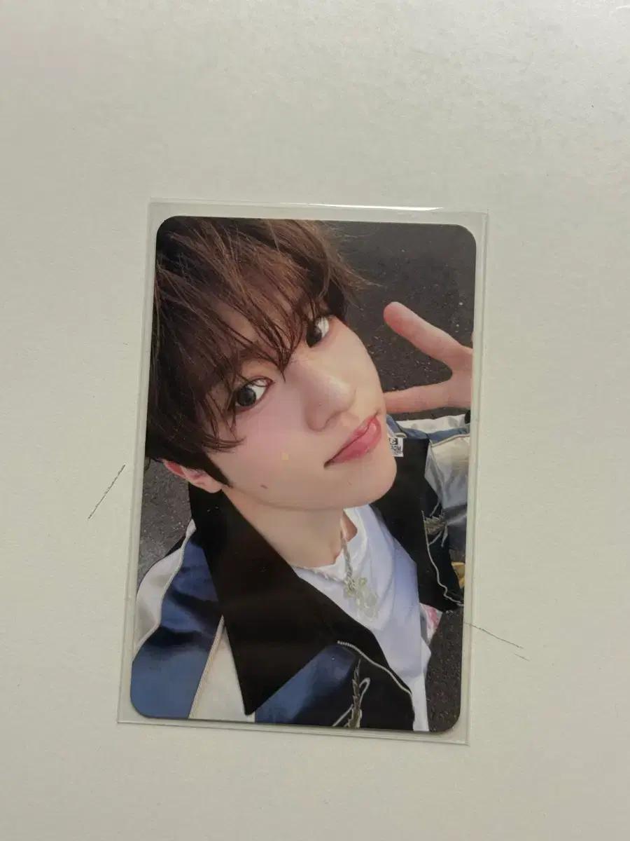 엔시티 위시 스테디 시온 미공포