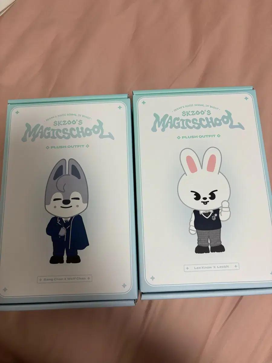 스트레이키즈 스키즈 스키주 플러스 아웃핏 매직스쿨버전