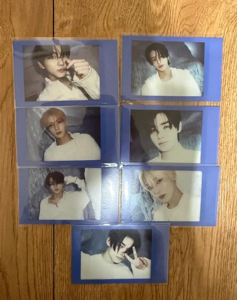 엔하이픈 포카 양도 일괄 개별 (급처)