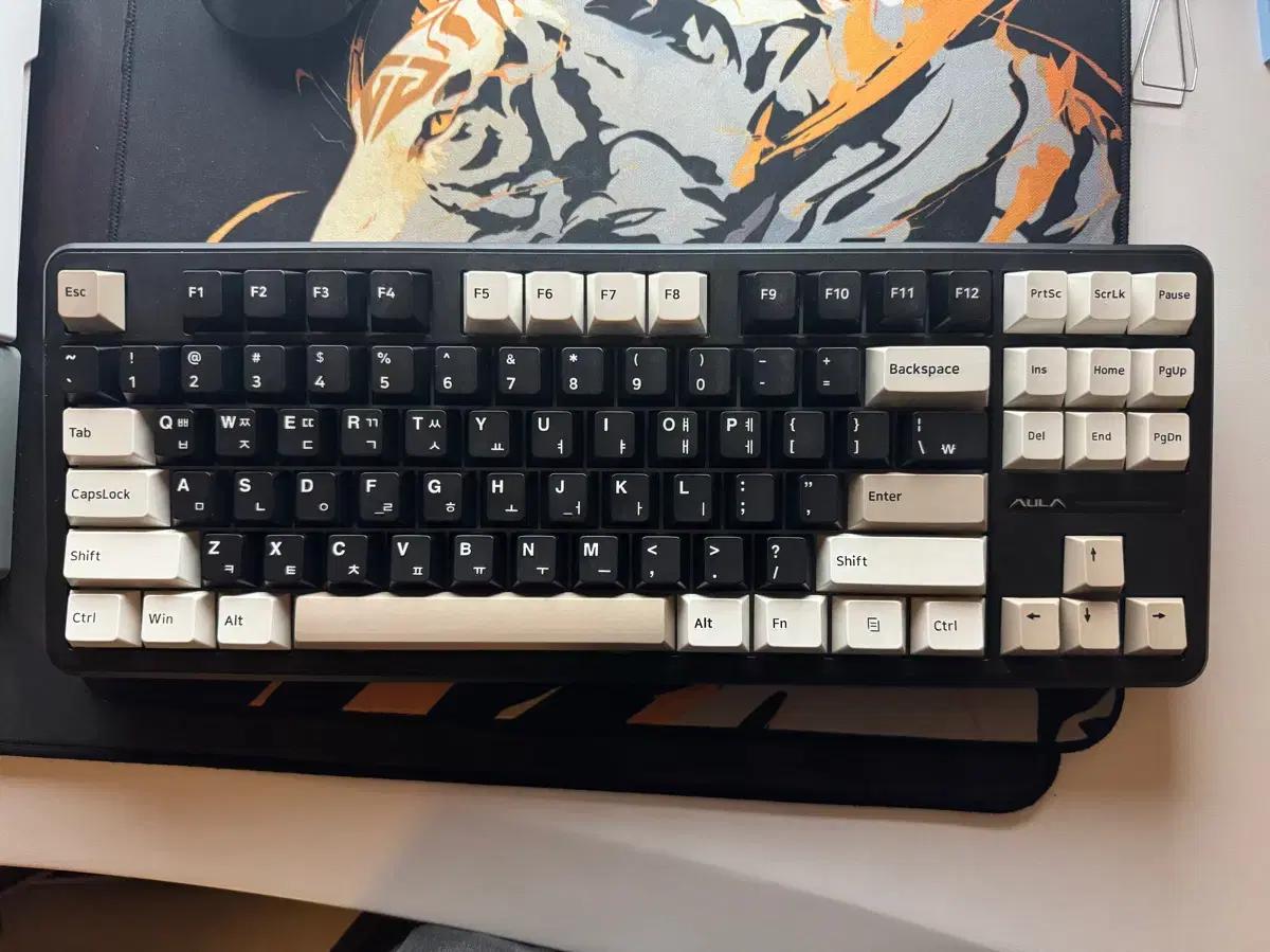 Aula 독거미 f87 pro