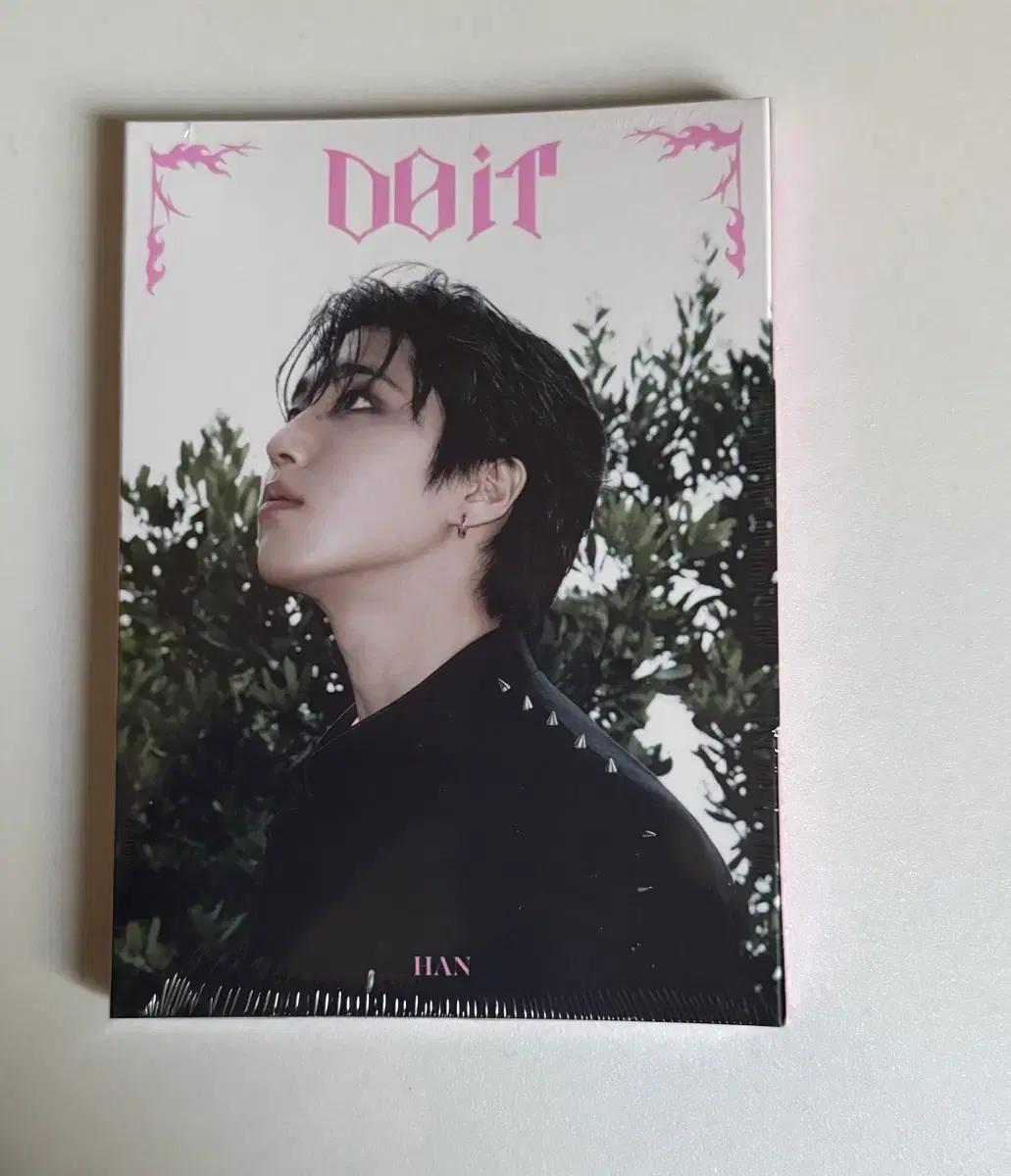 스키즈 두잇 아코디언 미개봉 앨범 한 양도