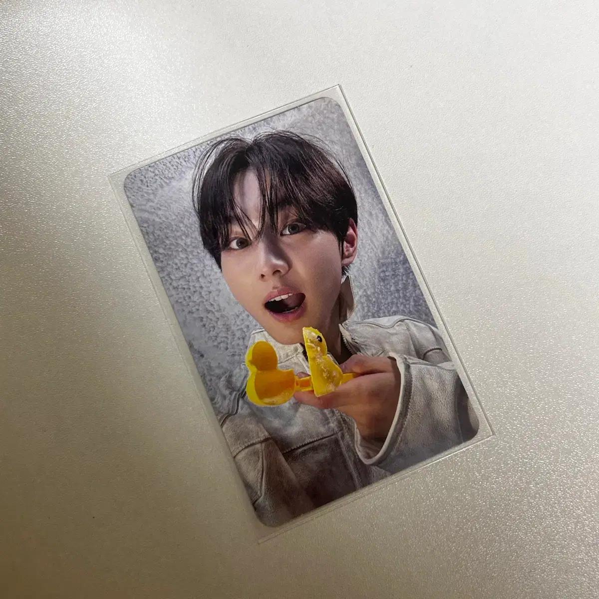 엔하이픈 정원 로맨스 언톨드 데이드림 위버스