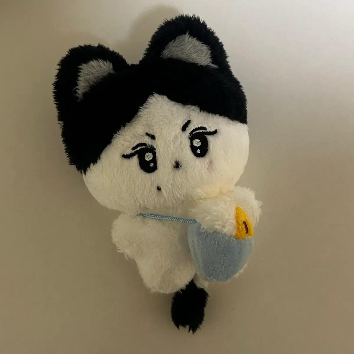 엔하이픈 정원 카레양