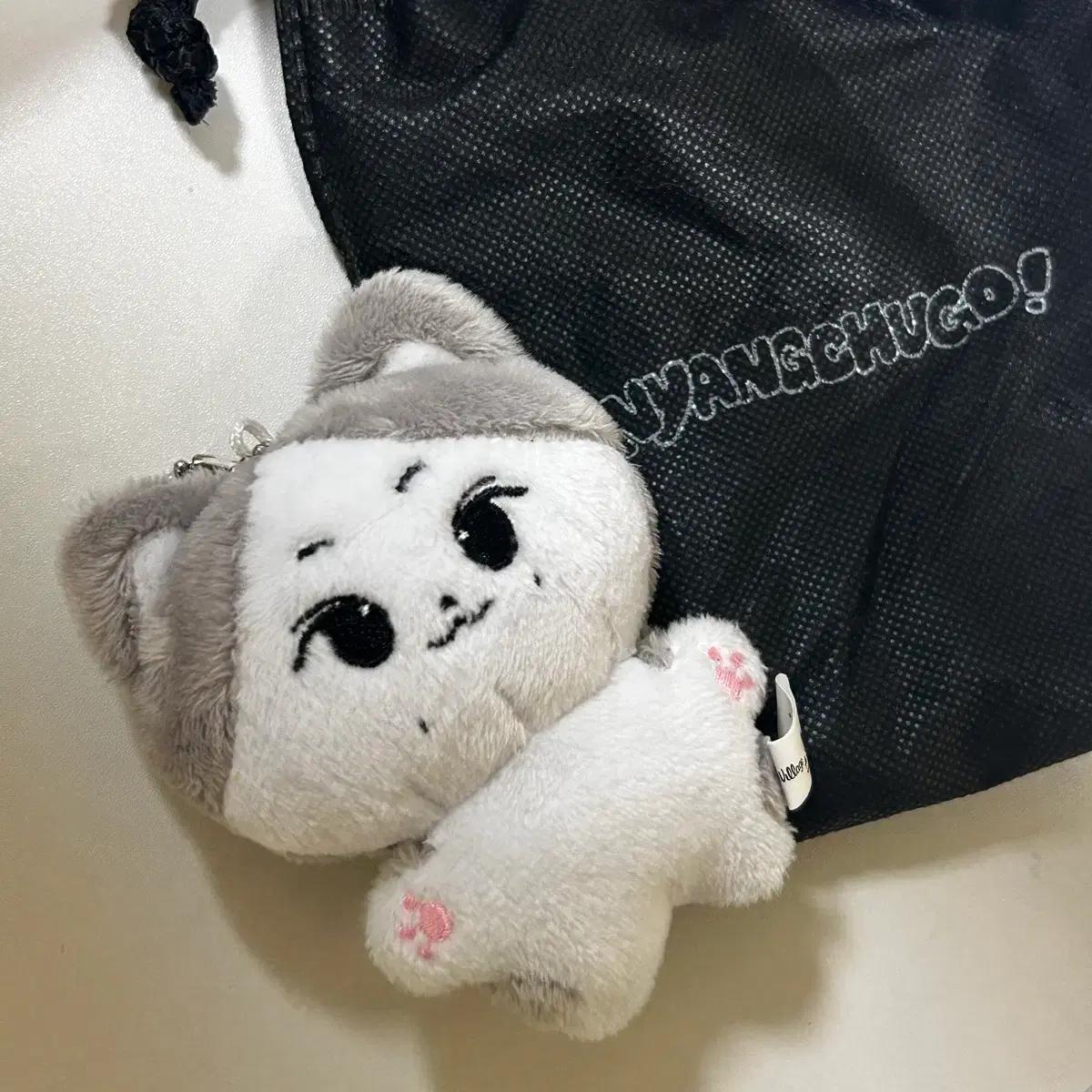 엔하이픈 정원 냥쭈고 2