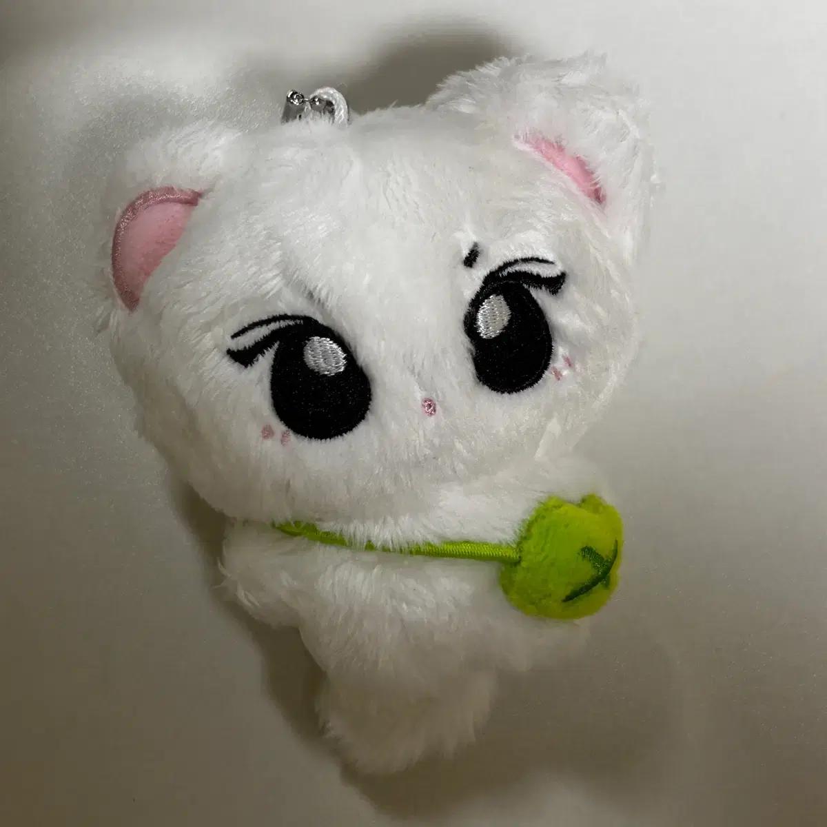 엔하이픈 정원 정냥이니