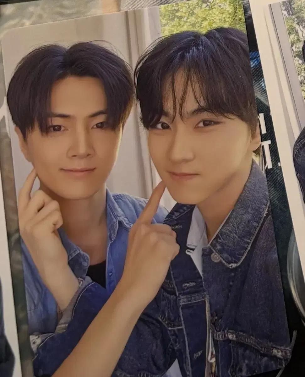 엔하이픈 디아이콘 제이 정원 야옹즈 유닛포카