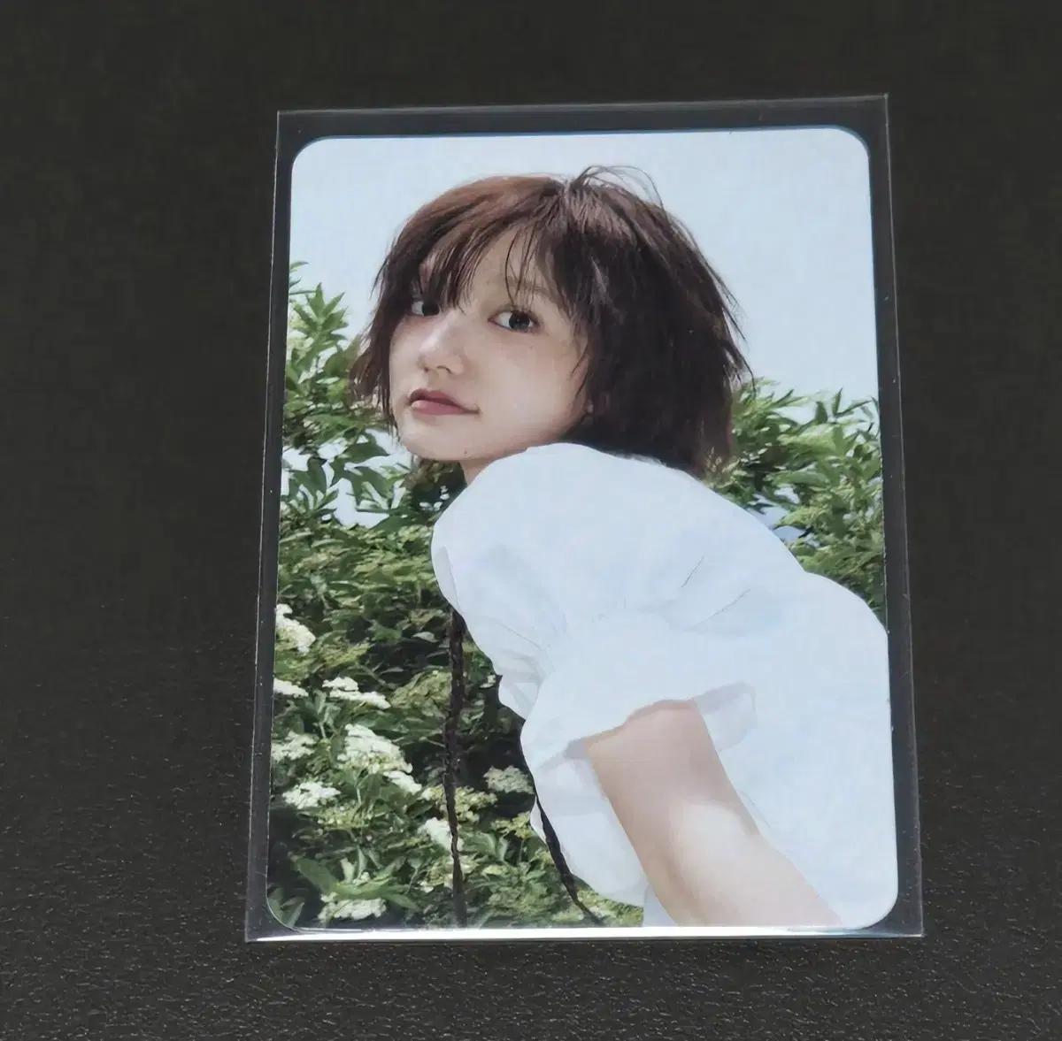 키키 지유 포카 양도