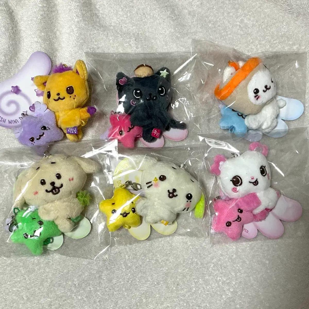 엔시티위시 미니돌 일괄 시오닝 쿠리 버블냥 댕트리버 룐룐 팡이