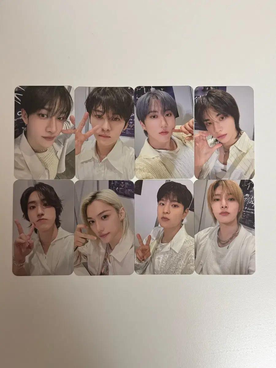 스키즈 방찬 리노 창빈 현진 한 필릭스 승민 아이엔 스테이재팬 일본 팬클