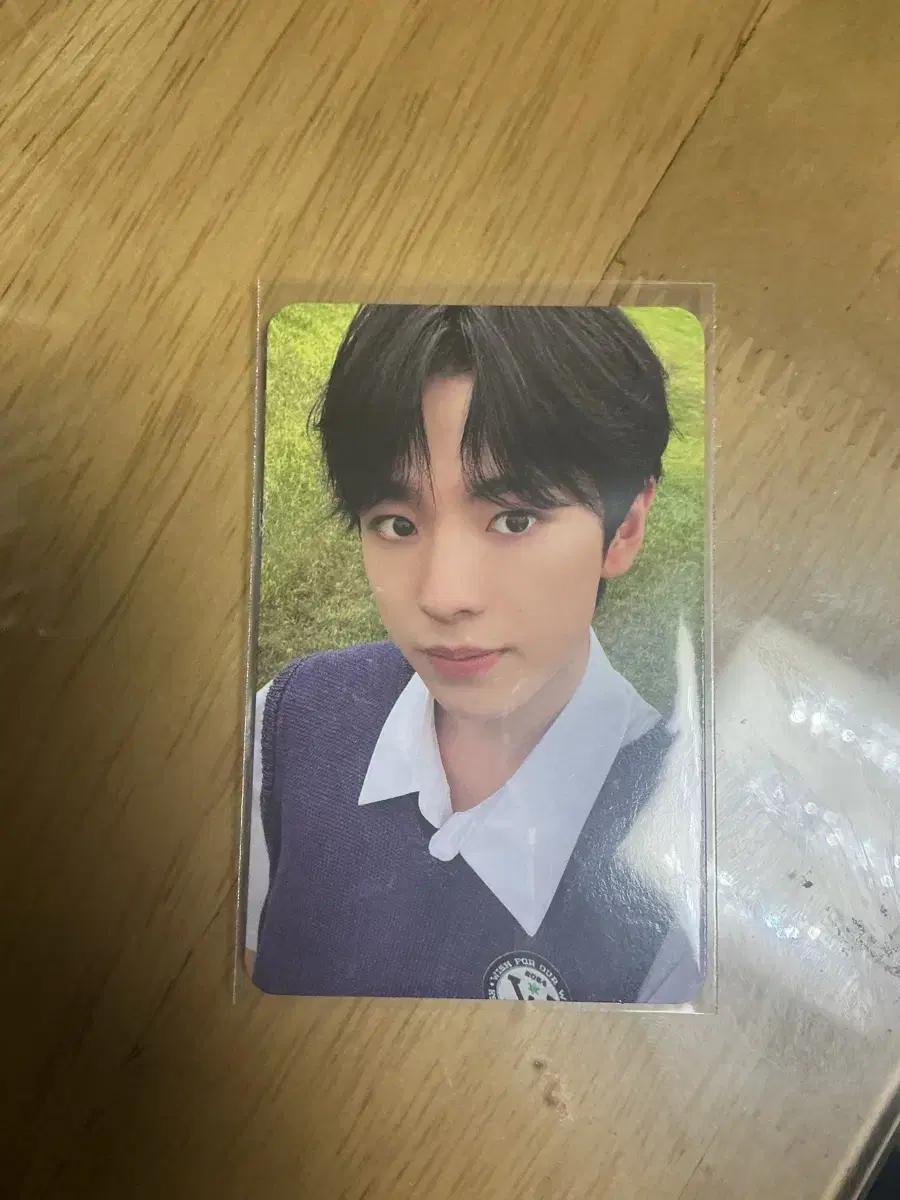 엔시티위시 nctwish 스테디 steady 키링 버전 유우시 포카