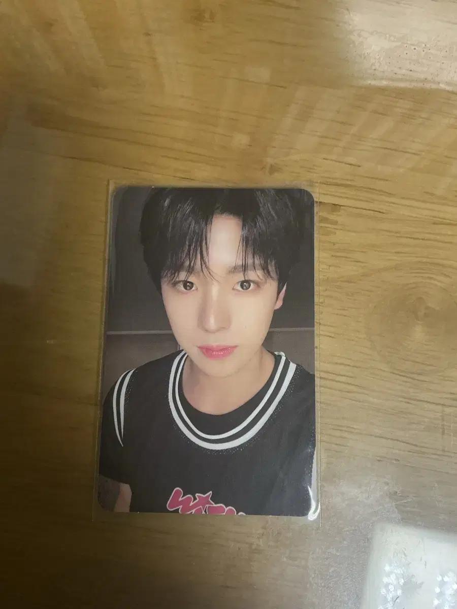 엔시티위시 nctwish 스테디 큐알 유우시 포카