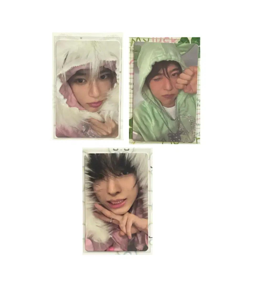 엔시티위시 포카 일괄 양도