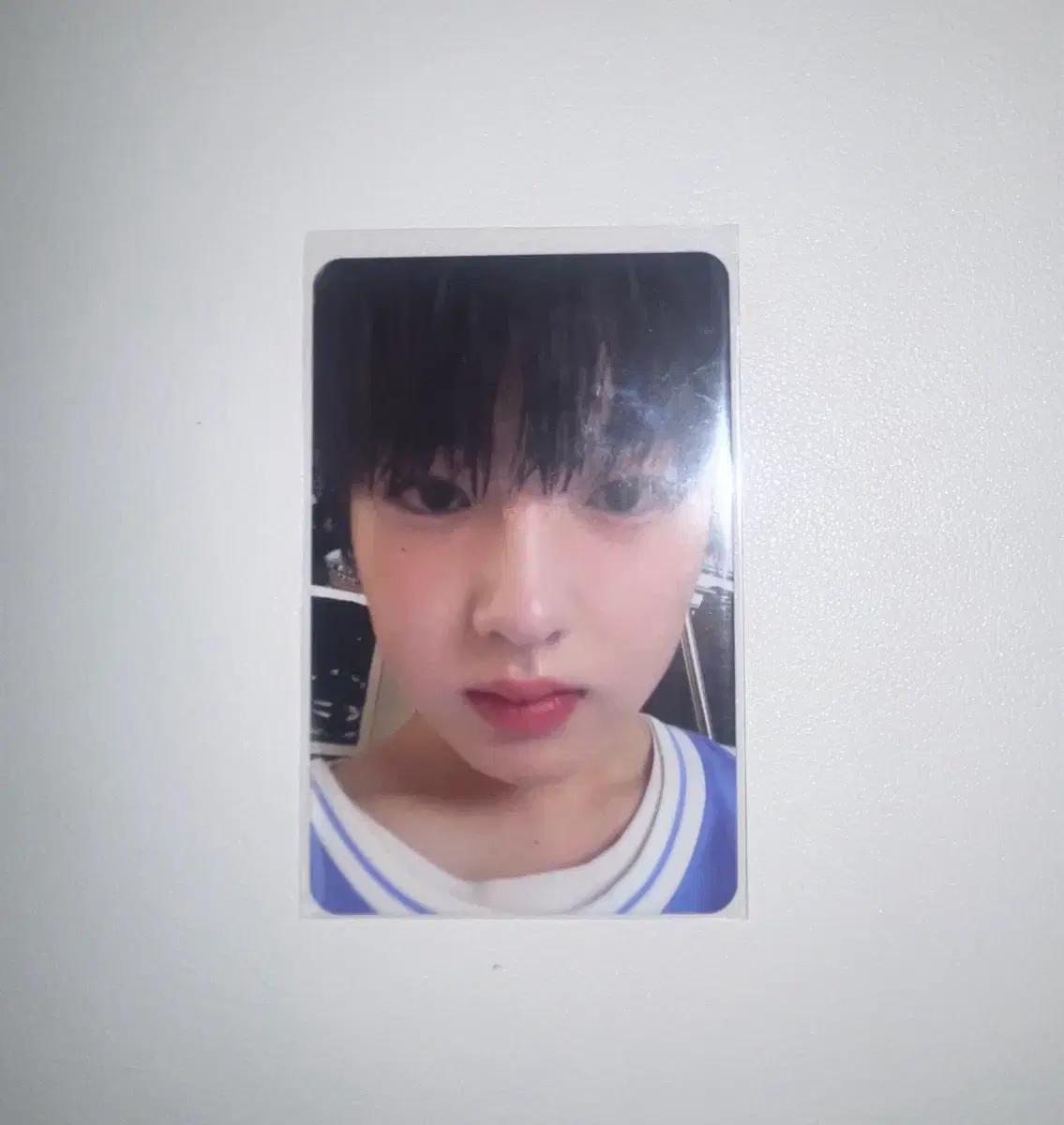 엔시티위시 사쿠야 팝팝 초회한정 포토카드