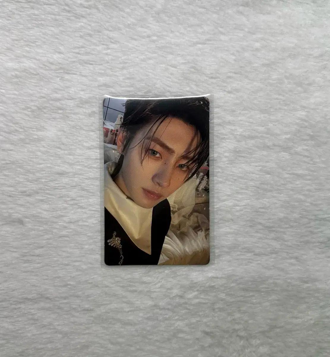 엔하이픈 성훈 다크블러드 포카