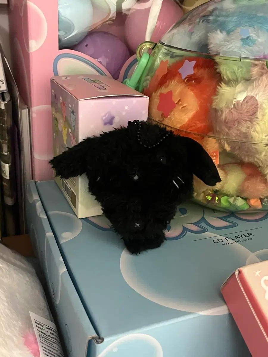 엔시티위시 컬러돌 위시돌 료 블랙 교환