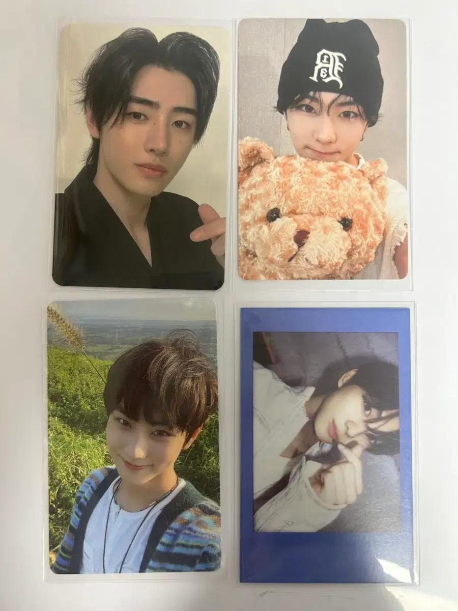 엔하이픈 포카 일괄 양도 10장