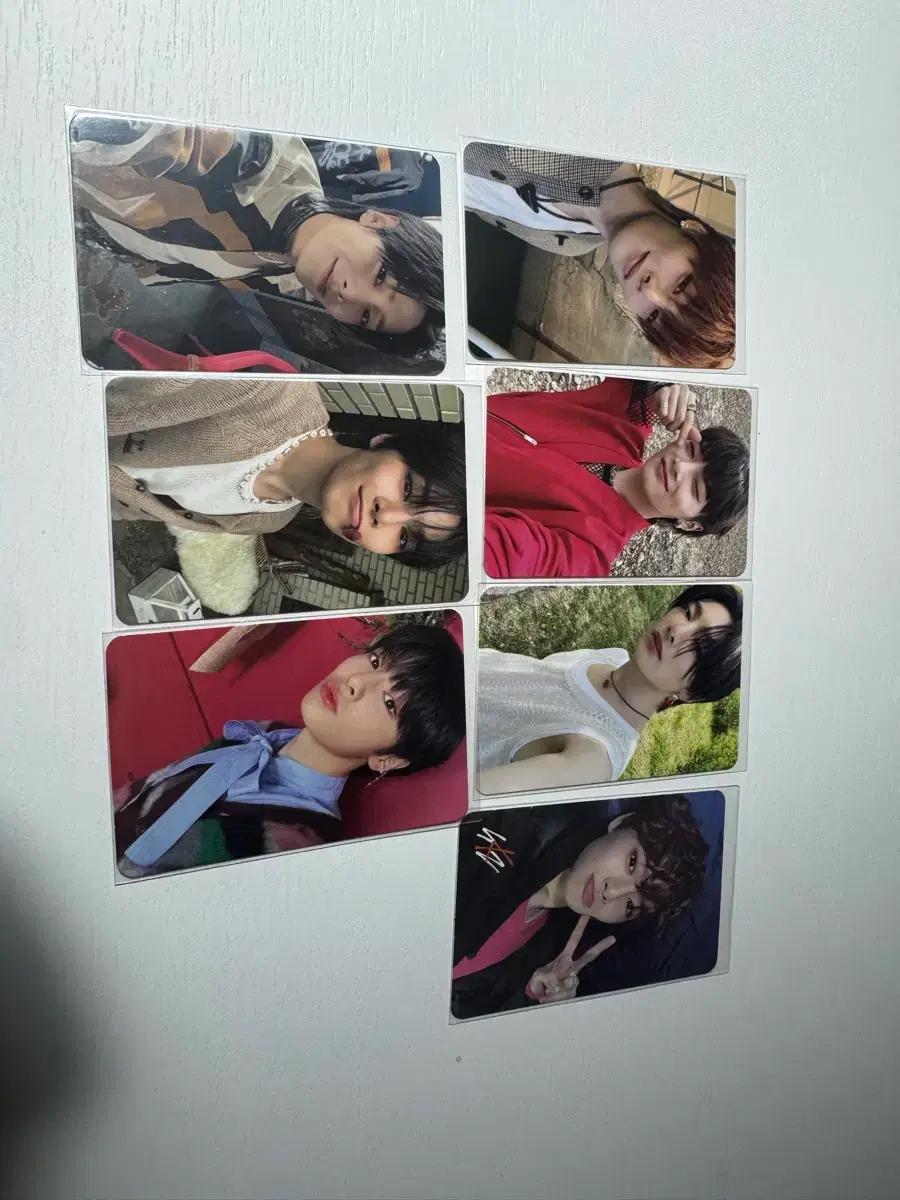 스키즈 아이엔 포카 일괄/따로