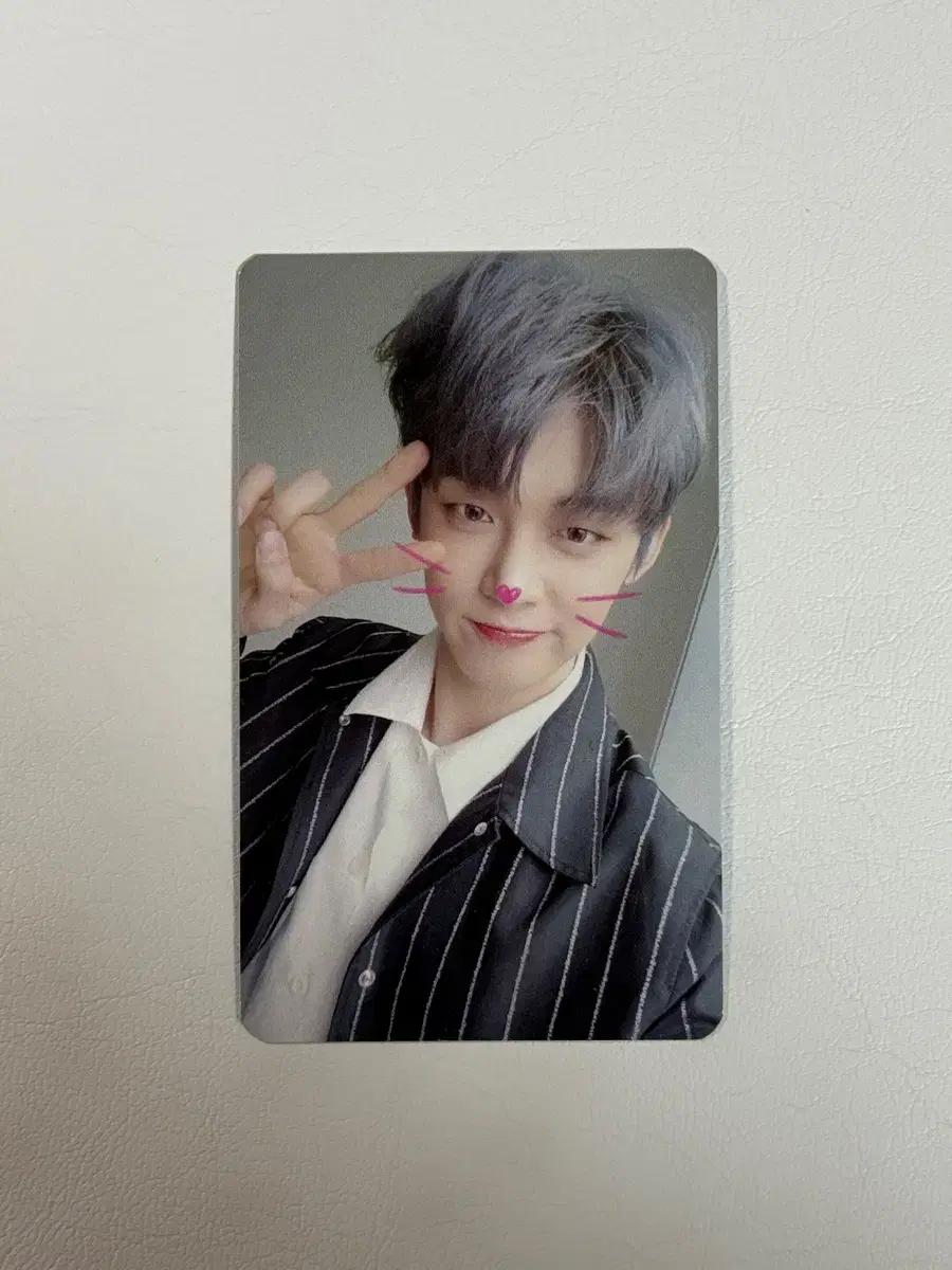 투바투 연준 캣앤독 공방포카 냥 버전