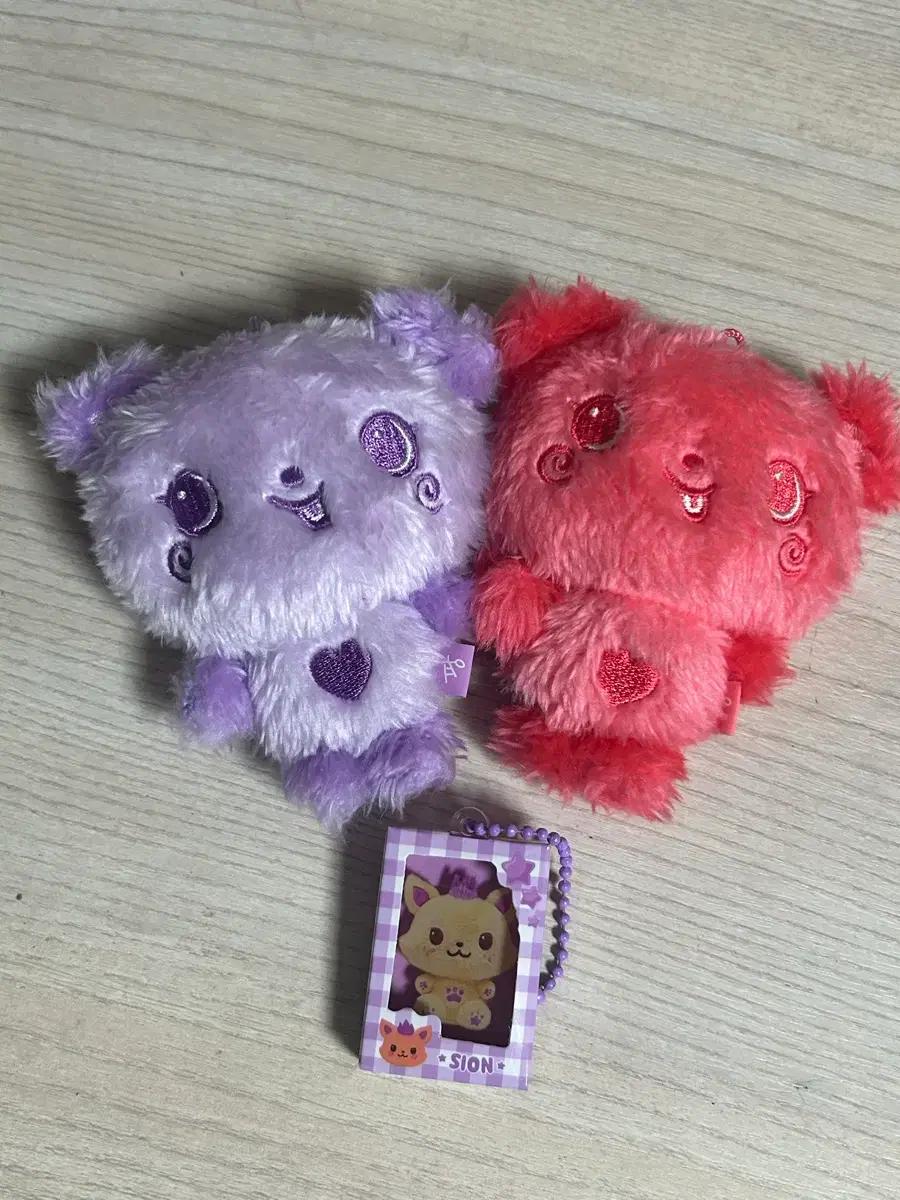 엔시티위시 nctwish 위시돌위부부윗부부컬러 팡이 사쿠야 교환 양도