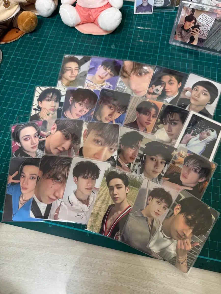 스키즈 포카 교환,판매