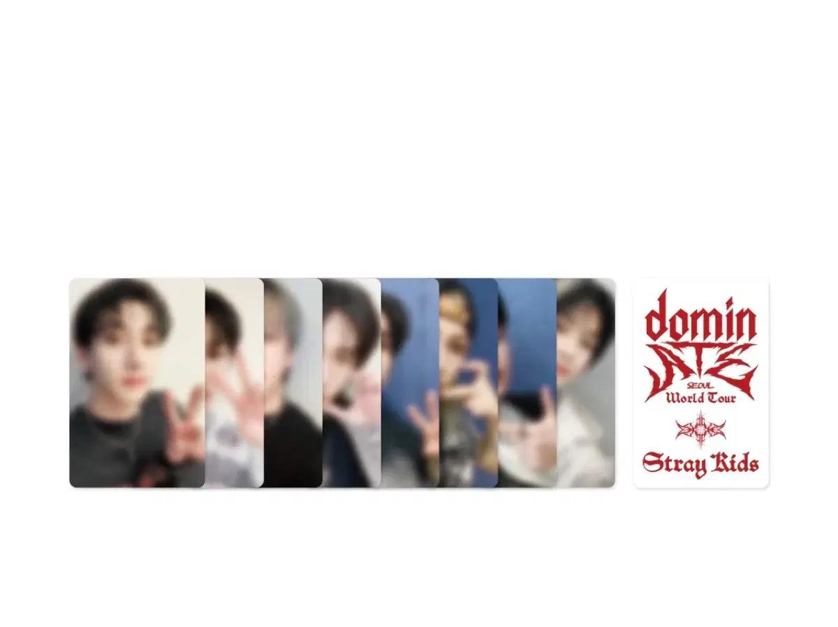 스키즈 DVD & 블루레이 포카 분철