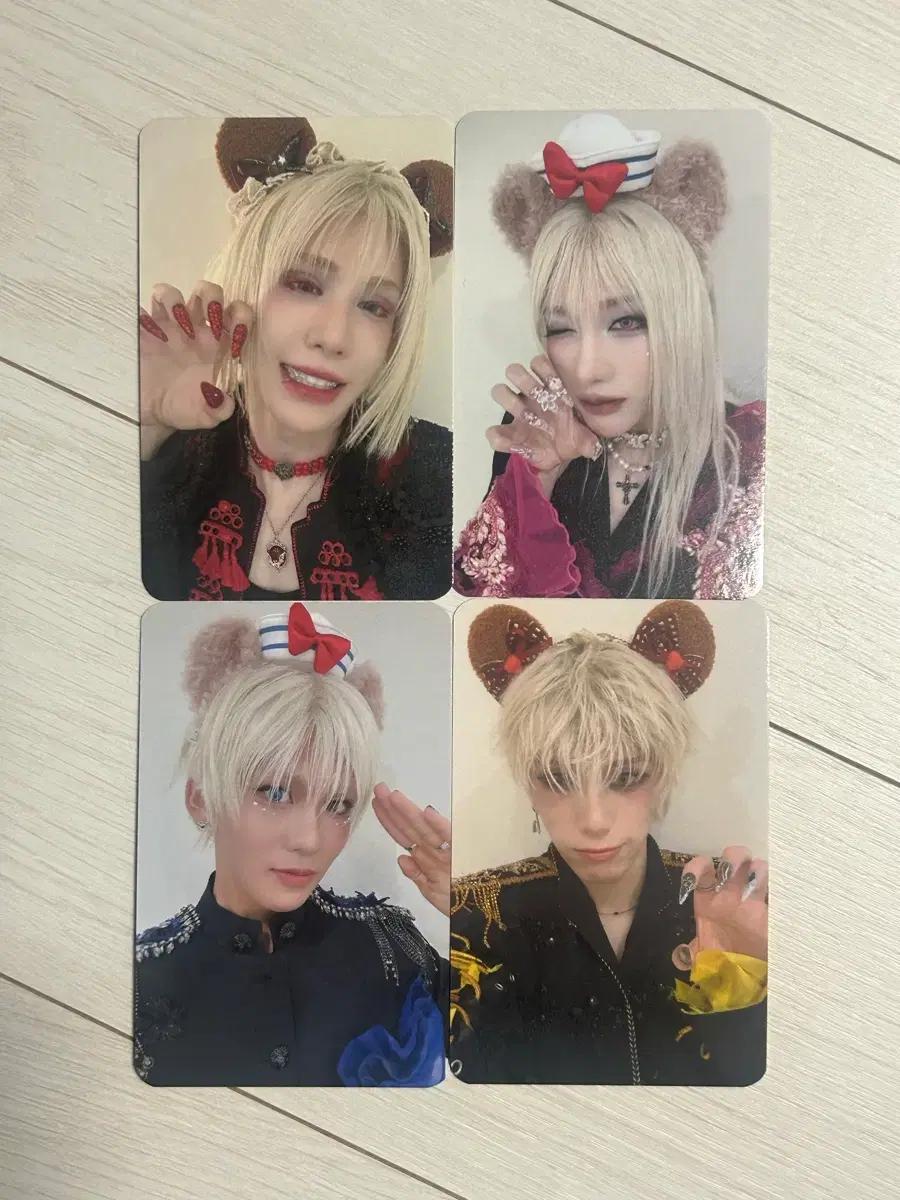 엑스러브 xlov 곰돌이 미공포 포카