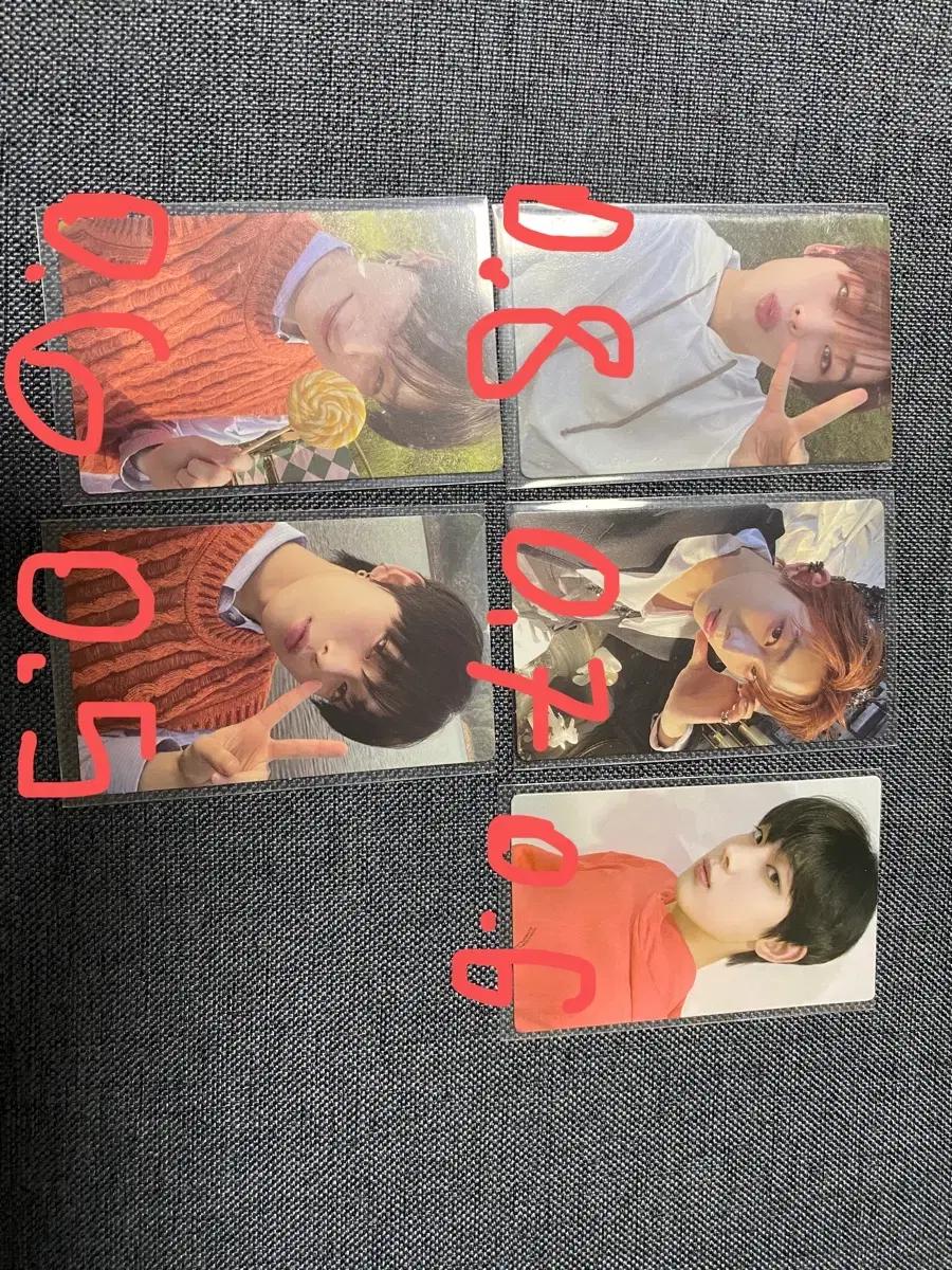 엔하이픈 선우 포카