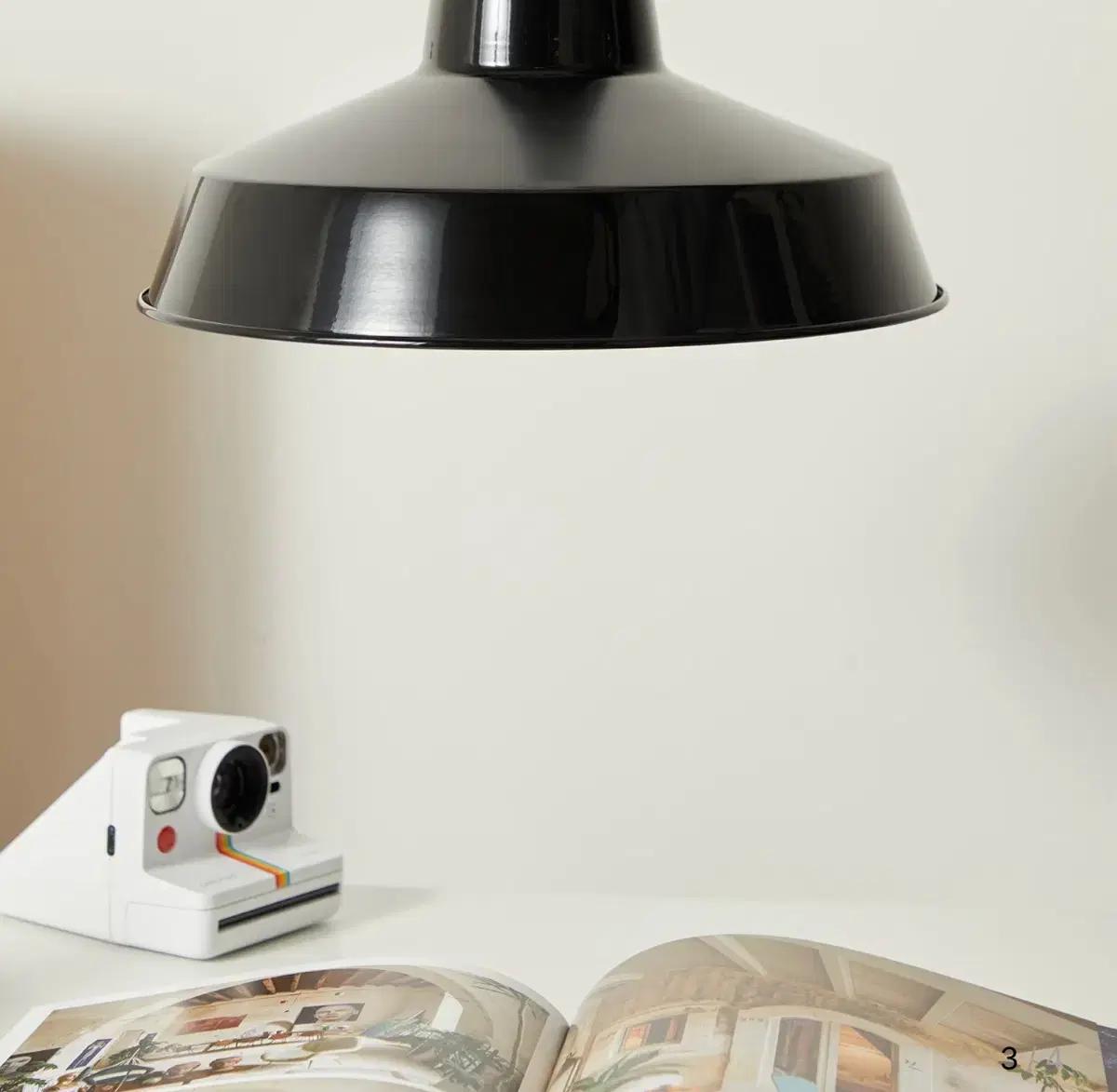 칼하트 WIP 램프 쉐이드 - 블랙, 브라운