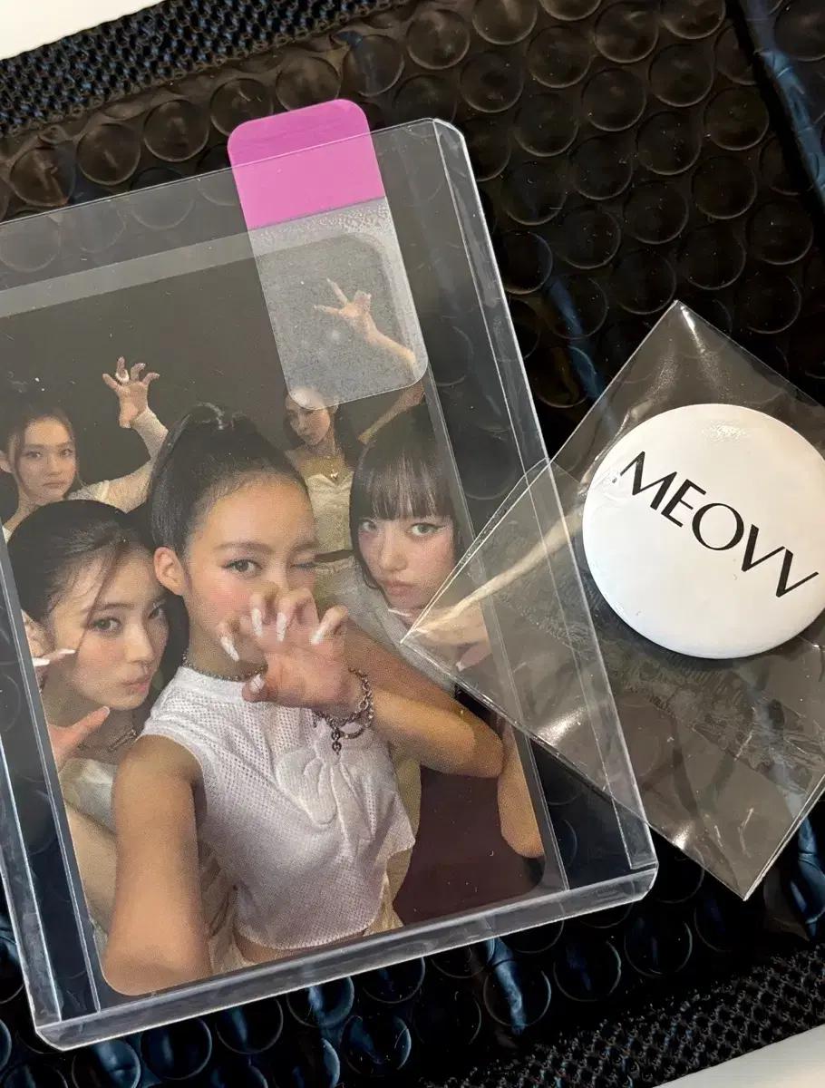 미야오 단체 공방 포카 양도 meovv 핀버튼