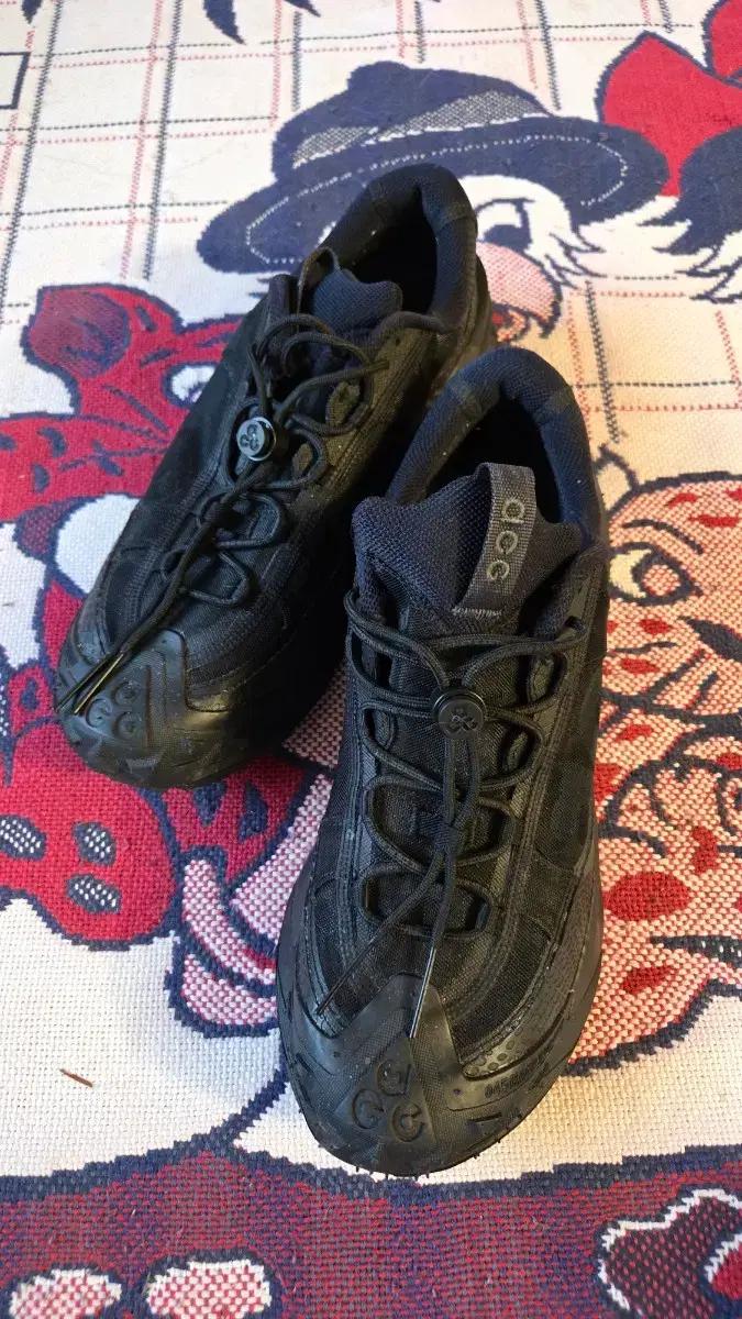 나이키..scg 마운틴2...280