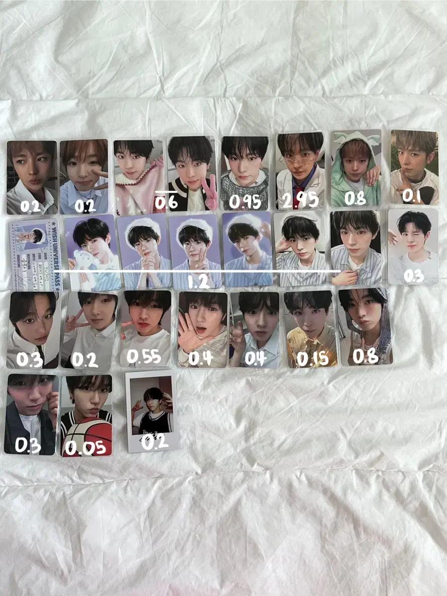 엔시티 위시 포카 (유우사 사쿠야 리쿠 재희)