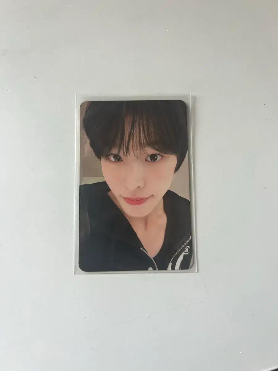 메이크스타 리쿠 엔시티위시 포카 양도 유우시 시온 사쿠야