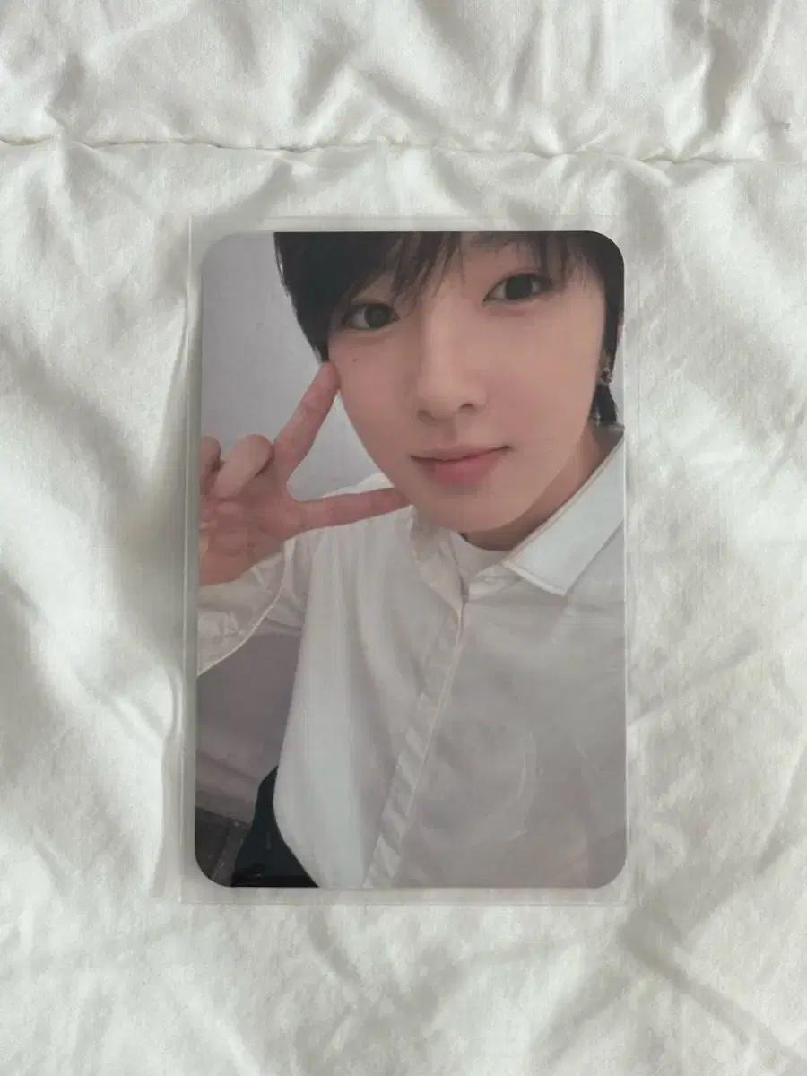 엔시티 위시 사쿠야 스테디 무모샵 포카