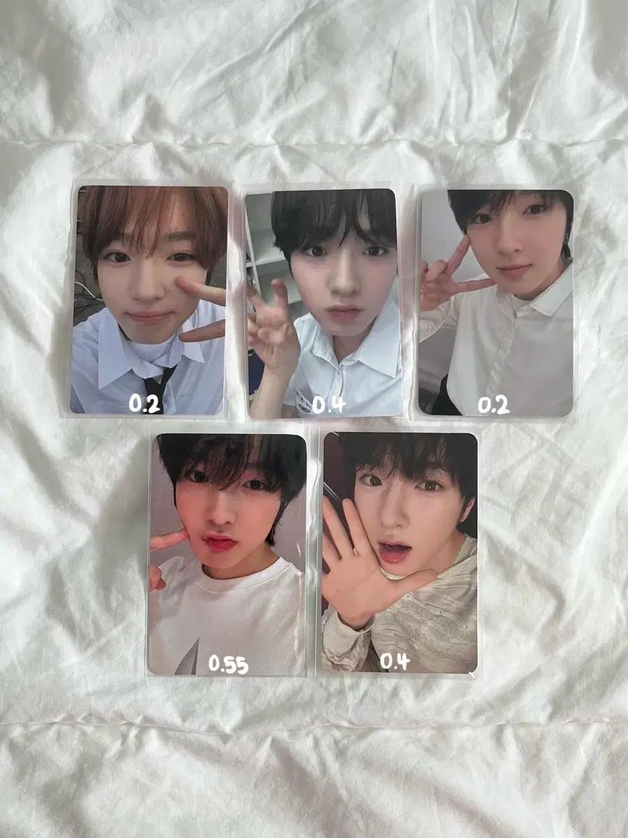 엔시티 위시 사쿠야 포카