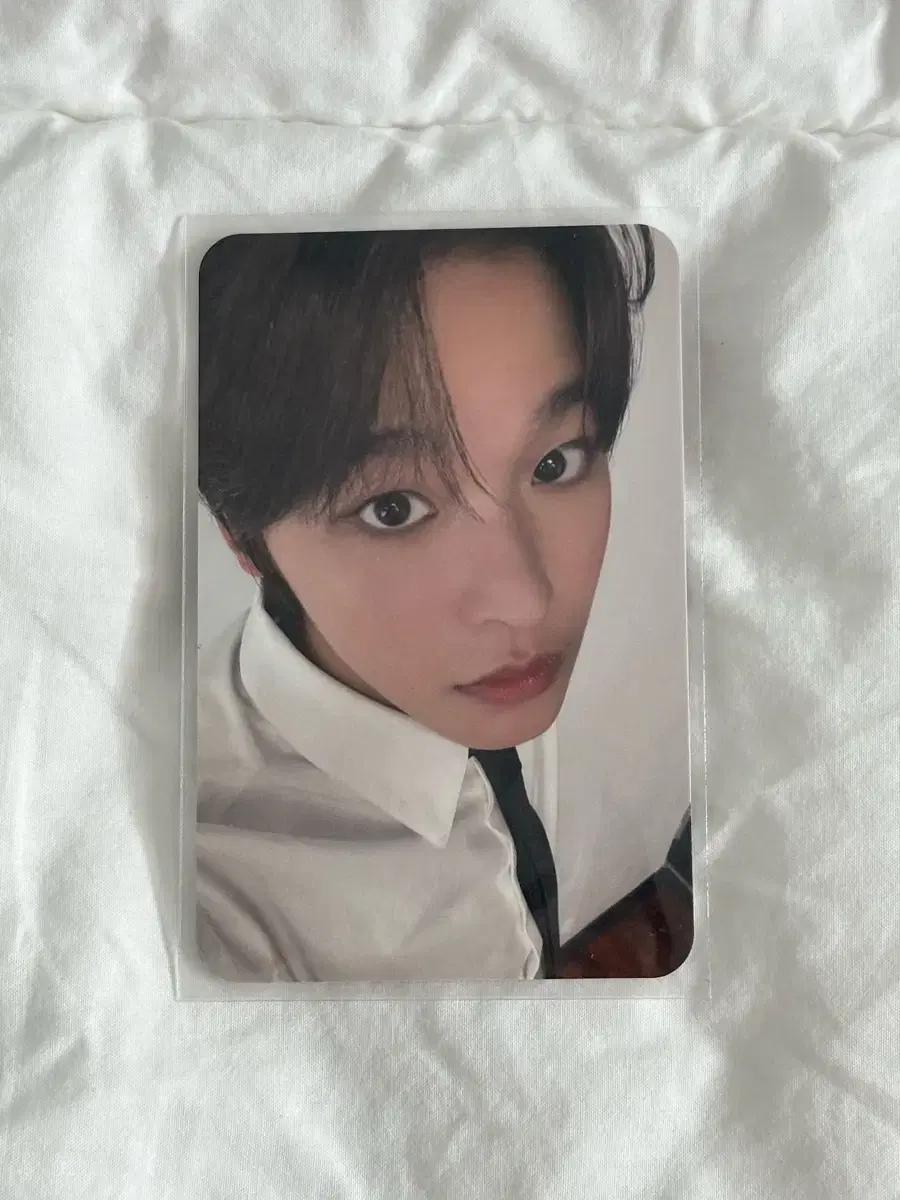 엔시티 위시 리쿠 스테디 무모샵 포카