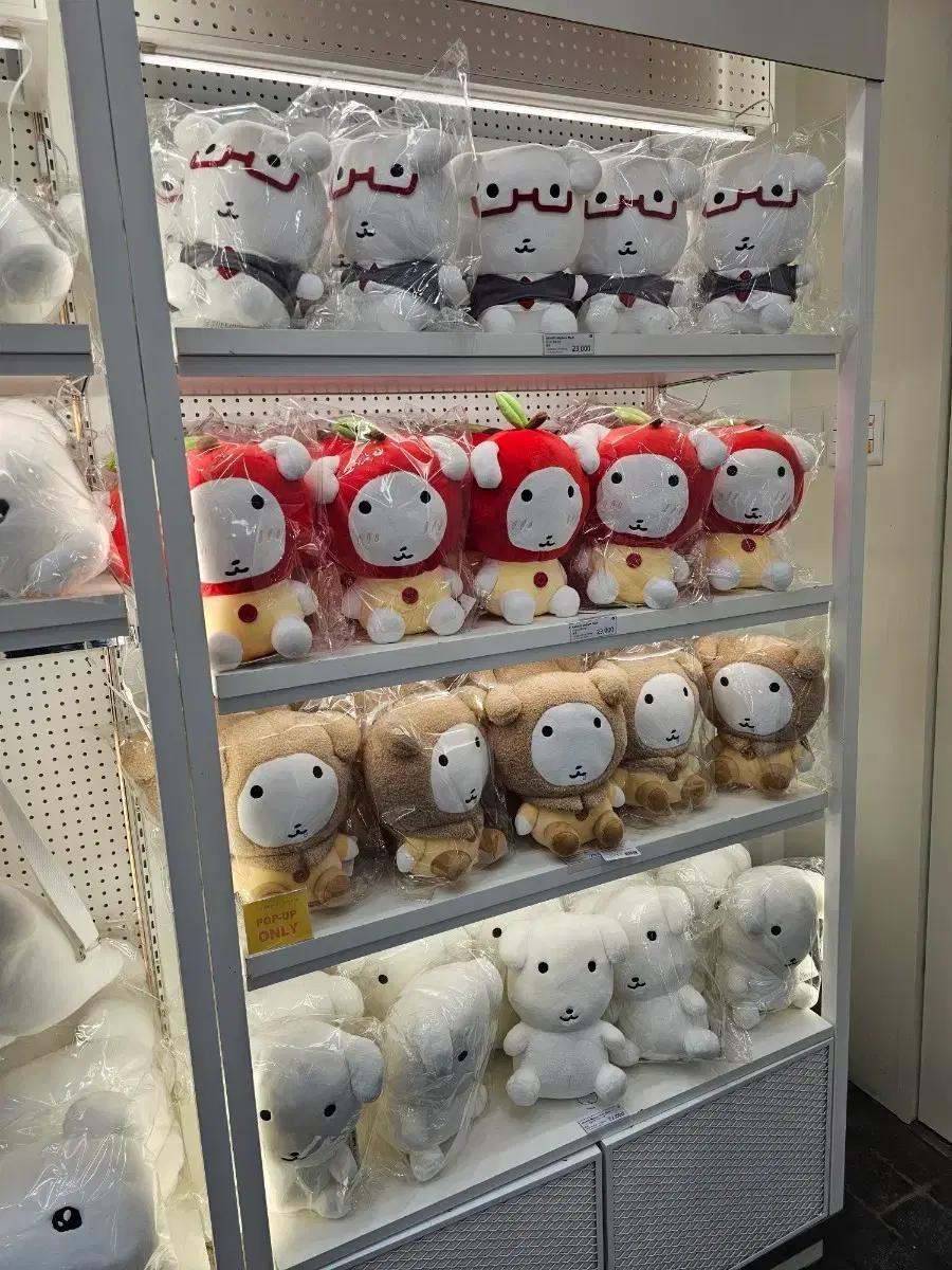 가나디 팝업 댈구 선착한분