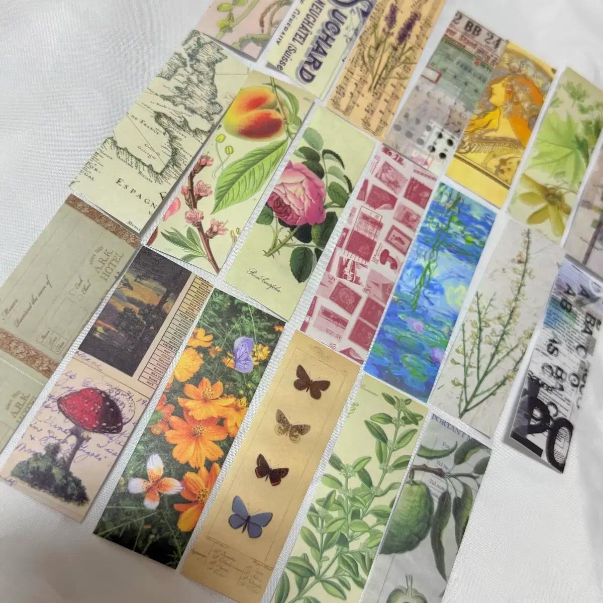 [ 빈티지 ] 명화/식물/나비 라벨 스티커팩 3 / 다꾸 감티지