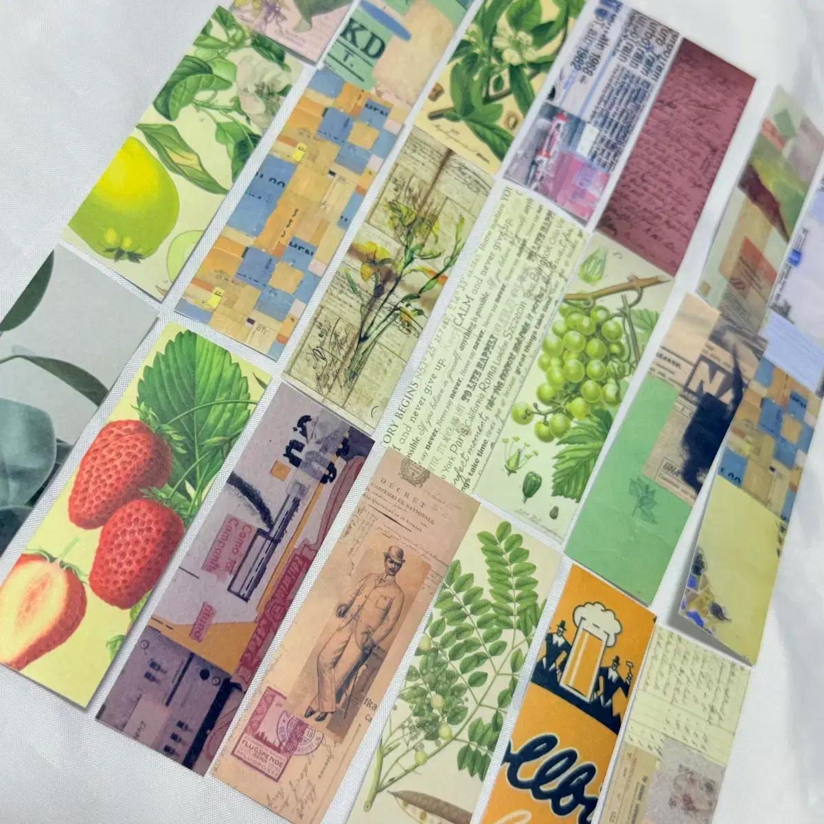 [ 빈티지 ] 명화/식물/나비 라벨 스티커팩 4 / 다꾸 감티지